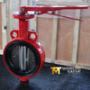 Hand Lever DI Disc Wafer Butterfly Valve provided by China OEM Valve Manufacturer-Tianjin Worlds Valve Co., Ltd.
