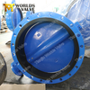  AwwaC515 FBE Epoxy Coated Disc Double Flange Butterfly Valve