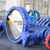 U Section Short Pattern Double Flanged Butterfly Valves with CE ISO WRAS ACS