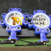 Lug Type Butterfly Valve with Silicone Liner