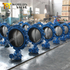 Viton/FKM/FPM Rubber Seat Butterfly Valve for Water