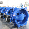 Double Offset Flanged Rubber Butterfly Valve with Akzonobel Epoxy Painting