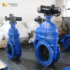 Resilient Seat Non-Rising Stem Gate Valve with Ductile Iron Body offered by OEM Valve Supplier-Tianjin Worlds Valve Co.,Ltd.