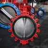 DI Lug Type Butterfly Valve with Replaceable EPDM Seat & CF8M Disc offered by OEM|ODM Valve Supplier-Tianjin Worlds Valve