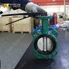 SS Disc Wafer Butterfly Valve with Lever Operated offered by CE Certified OEM Valve Manufacturer-Tianjin Worlds Valve Co.,Ltd.