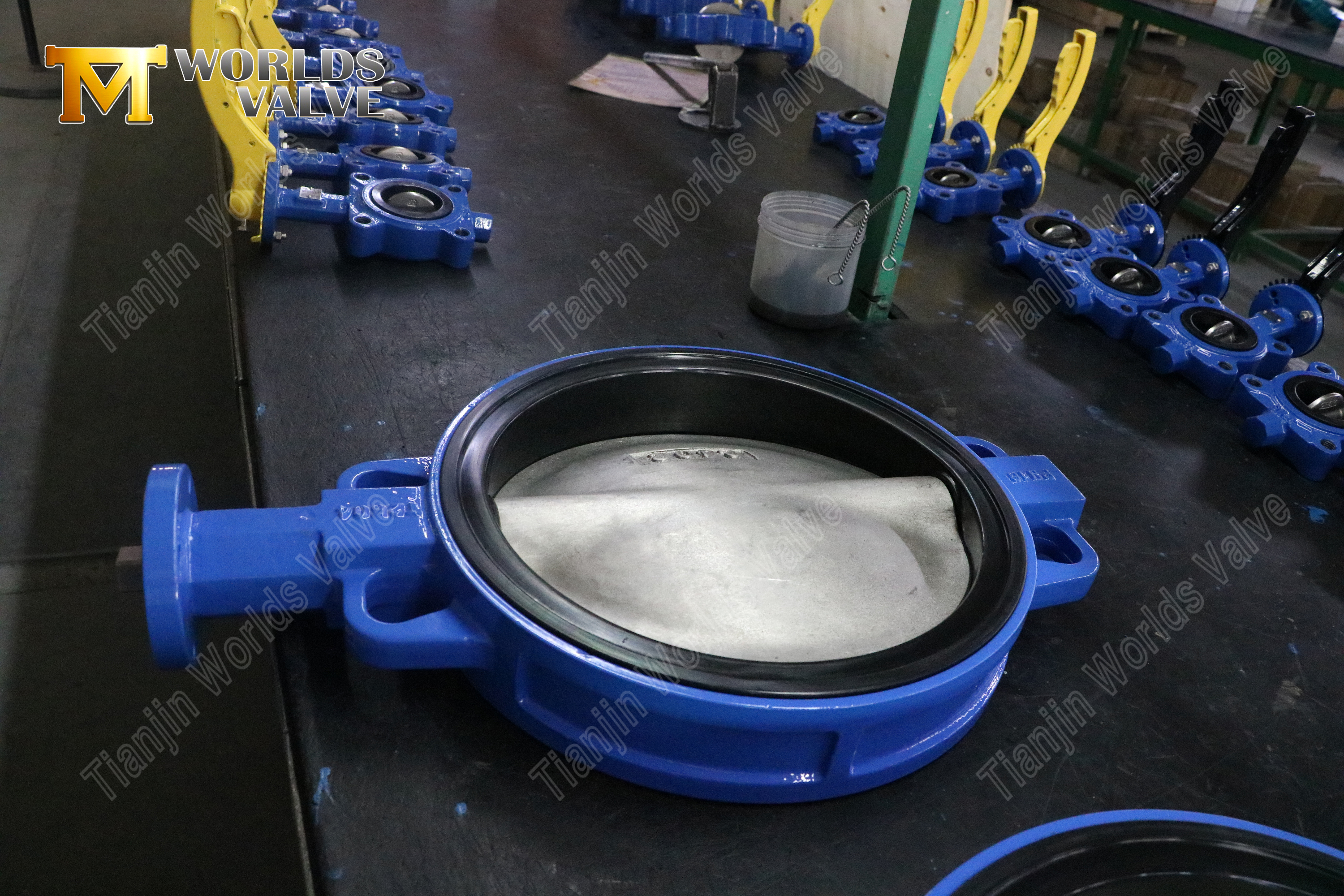Wafer Butterfly Valve with Removable Seat Lever Operated Easy Maintenance Design-1 (2).jpg
