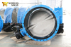 ANSI Class 150 FF RF flanged Double Flanged Butterfly Valve Bonded Rubber Seat