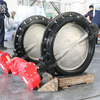 OEM Universal Connection Standard Wafer Type Butterfly Valve with Ce ISO Wras Acs