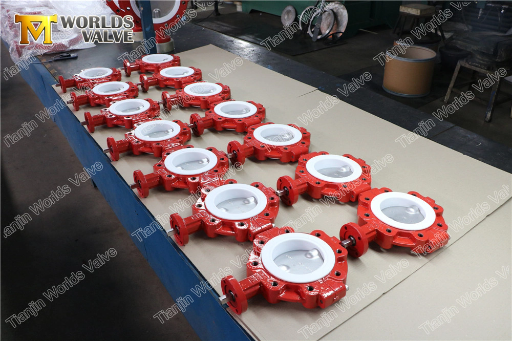 Split Body Butterfly Valve with PTFE Lined seat and SS Disc supplied by China OEM Valve Manufacturer-Tianjin Worlds Valve Co.,Ltd