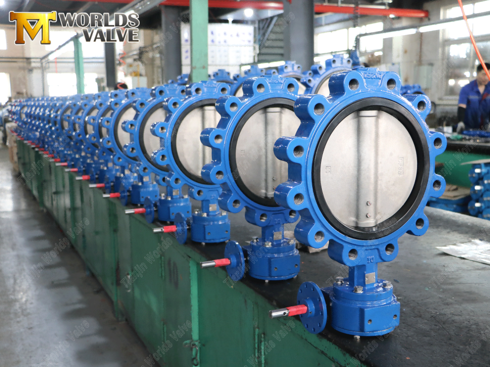 Concentric Butterfly Valve Manufacturer-Tianjin Worlds Valve(1)