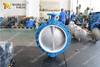 Wafer Type Butterfly Valve with PTFE Liner