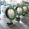 VITON/FKM/FPM Seat Rubber Liner Butterfly Valve