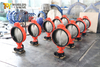 Wafer Type Butterfly Valve with PN6 PN10 PN16 PN25 CL125 Cl150 AS TableD Table E Flanges Connection