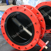 OEM Full Rubber Coated Double Flanged Butterfly Valves