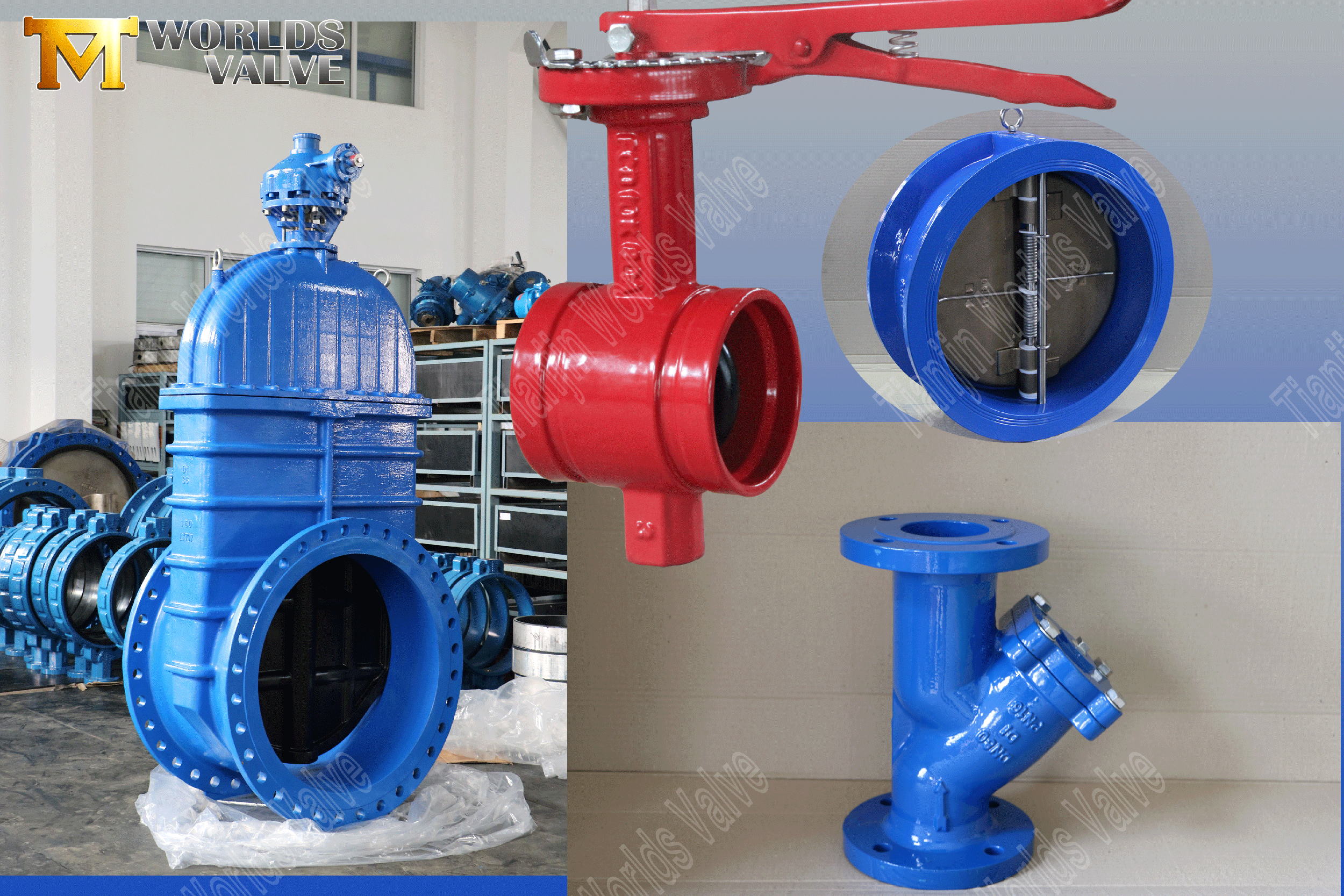 other types of valves