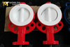 PTFE Lined Butterfly Valves with Gear Operated Offered By China OEM Valve Manufacturer-Tianjin Worlds Valve Co.,Ltd.