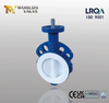 PTFE Lined Butterfly Valves with Wafer Type From China Butterfly Valve Manufacturer-Tianjin Worlds Valve Co.,Ltd.