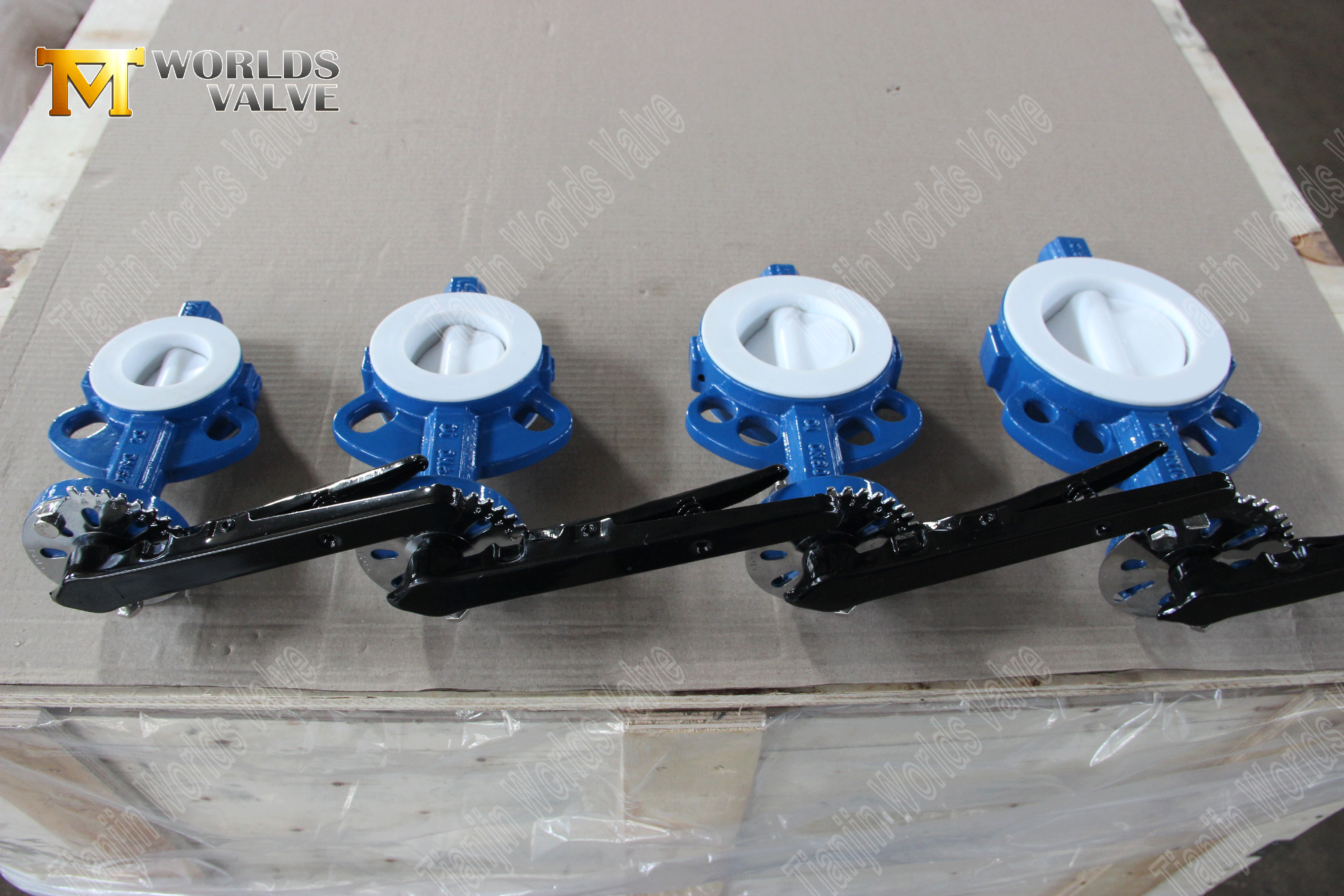 PTFE-Lined-butterfly-vaves-Wafer-Type-butterfly-valve-factory-from-China-(7)