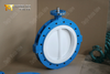 Teflon Full Lined Butterfly Valve with Split Body provided by Professional Valve Supplier in China-Tianjin Worlds Valve