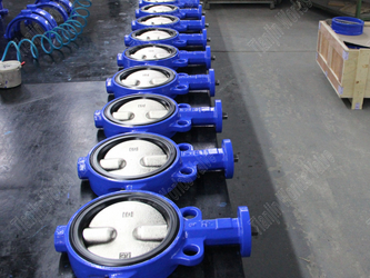 Wafer Butterfly Valve Manufacturers - Wafer Butterfly Valves with DI Valve Body and Disc (3)_3686_2764.jpg