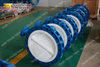 TWO Piece split body designing PTFE PFA liner Concentric Butterfly Valves 