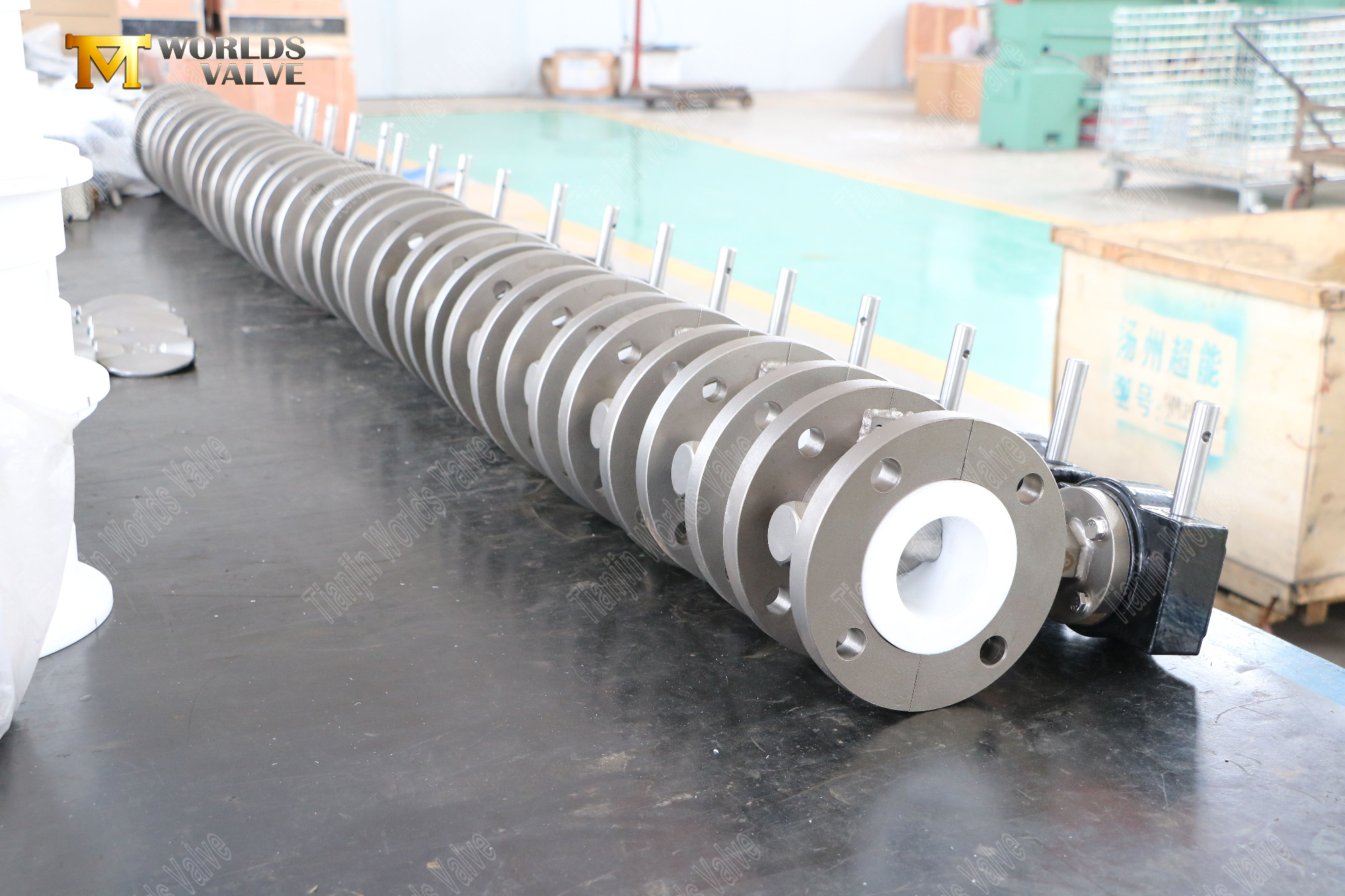 PTFE Seat and Stainless Steel Disc flanged butterfly valves (10)
