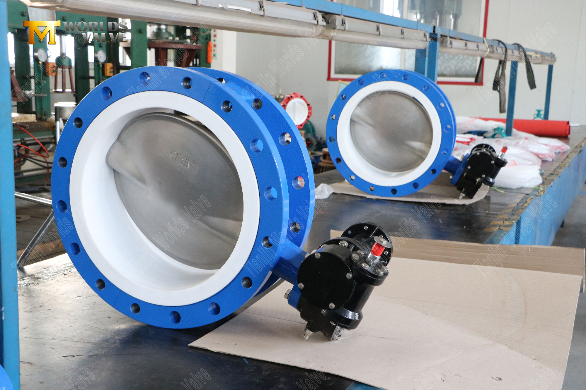 PTFE Seat and Stainless Steel Disc flanged butterfly valves (7)