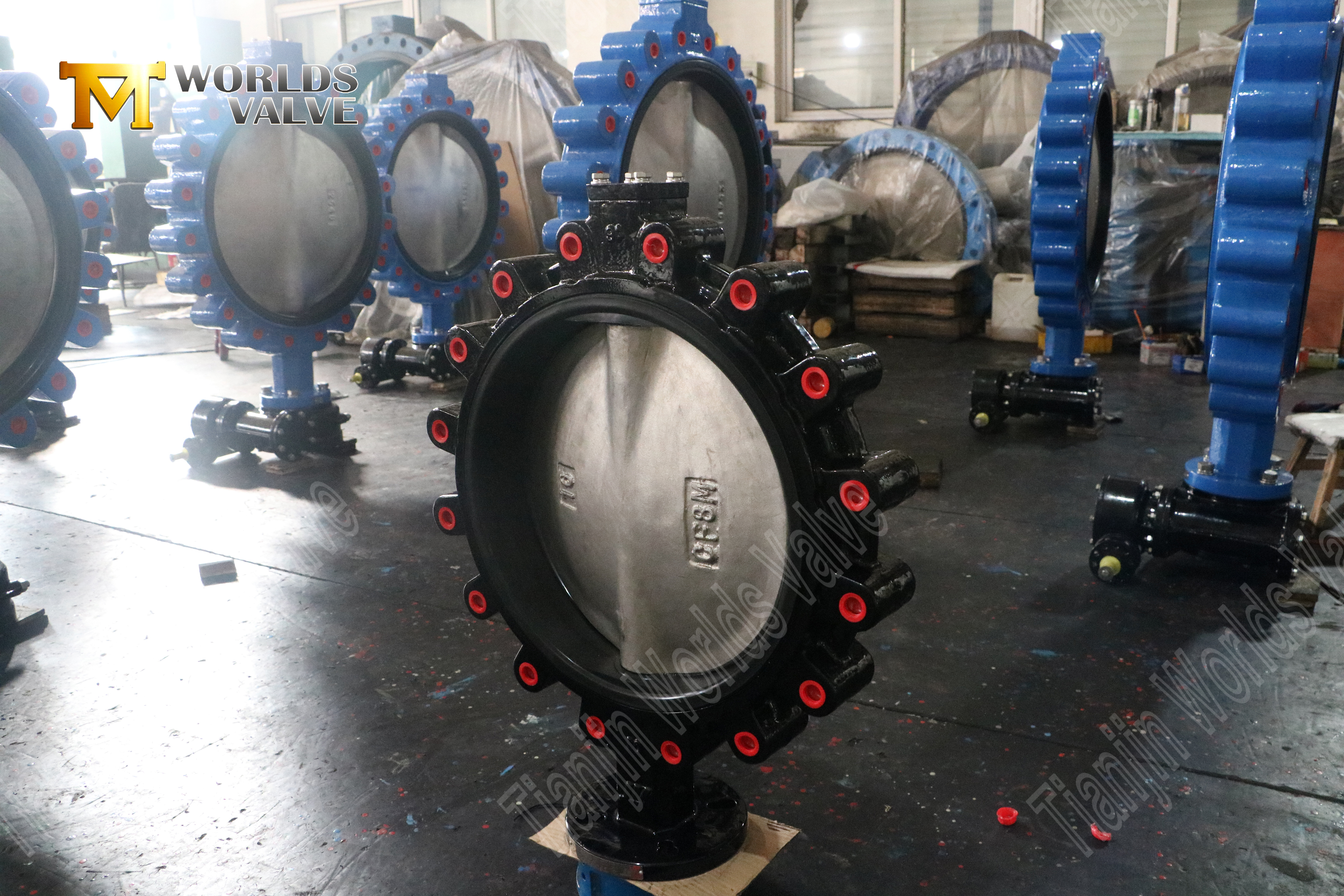 EPDM seat butterfly valve with CF8M disc-lug type butterfly valve manufacturer-1 (2)