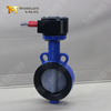 Nylon Coated Disc Wafer Type Butterfly Valve with WCB Body-A Budget-friendly Option-China OEM Valve Manufacturer and Supplier 