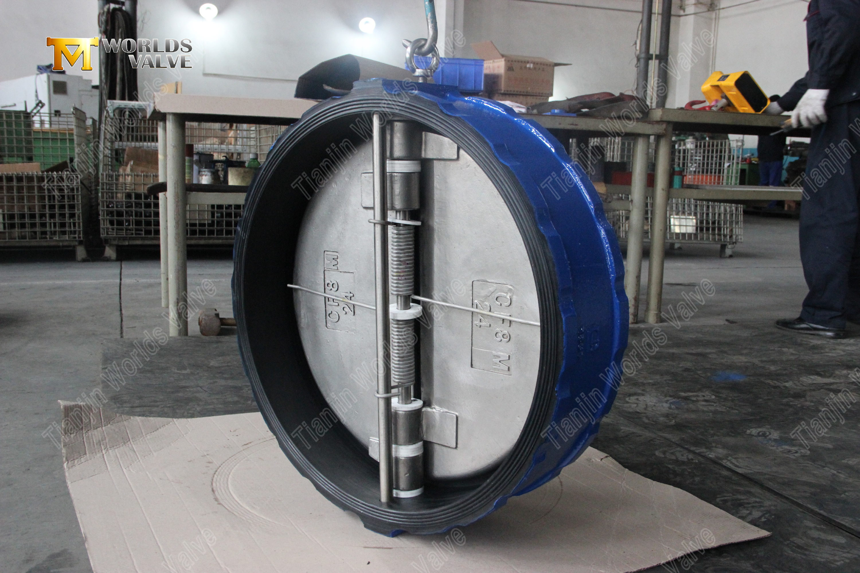 Rubber-Lined-Dual-Plate-Wafer-Check-Valve--Silent-Check-Valve-for-Corrosive-Services-2