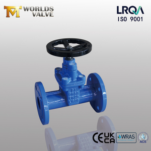 Worm Gear Resilient Seat PN25 Gate Valves | OEM Gate Valve Manufacturer-Tianjin Worlds Valve Co., Ltd.