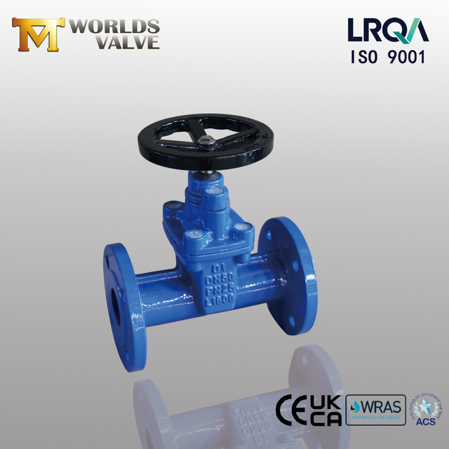 Worm Gear Resilient Seat PN25 Gate Valves | OEM Gate Valve Manufacturer-Tianjin Worlds Valve Co., Ltd.