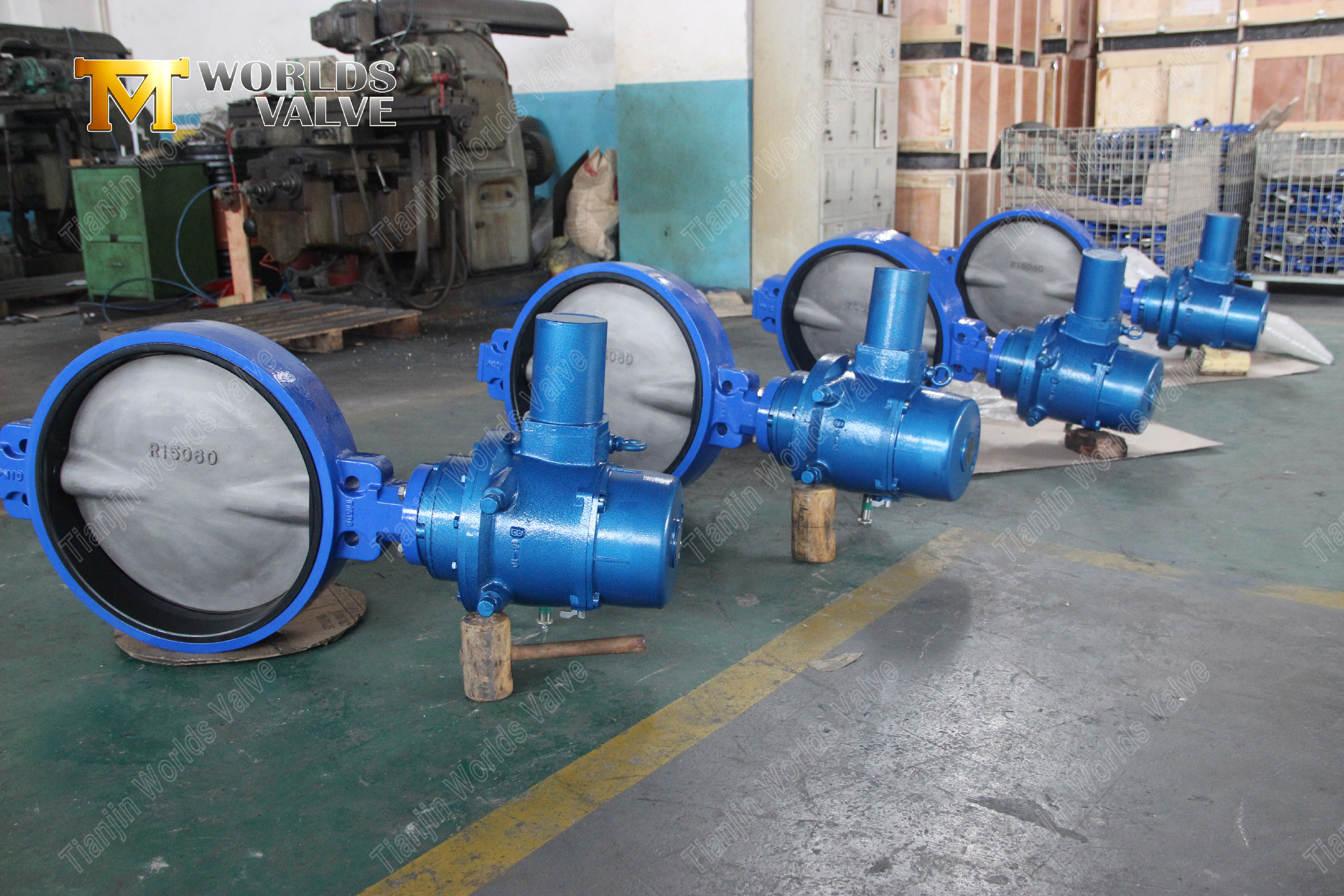 Ductile Iron Wafer Type Butterfly Valves OEM Butterfly Valve Supplier-1 (1)