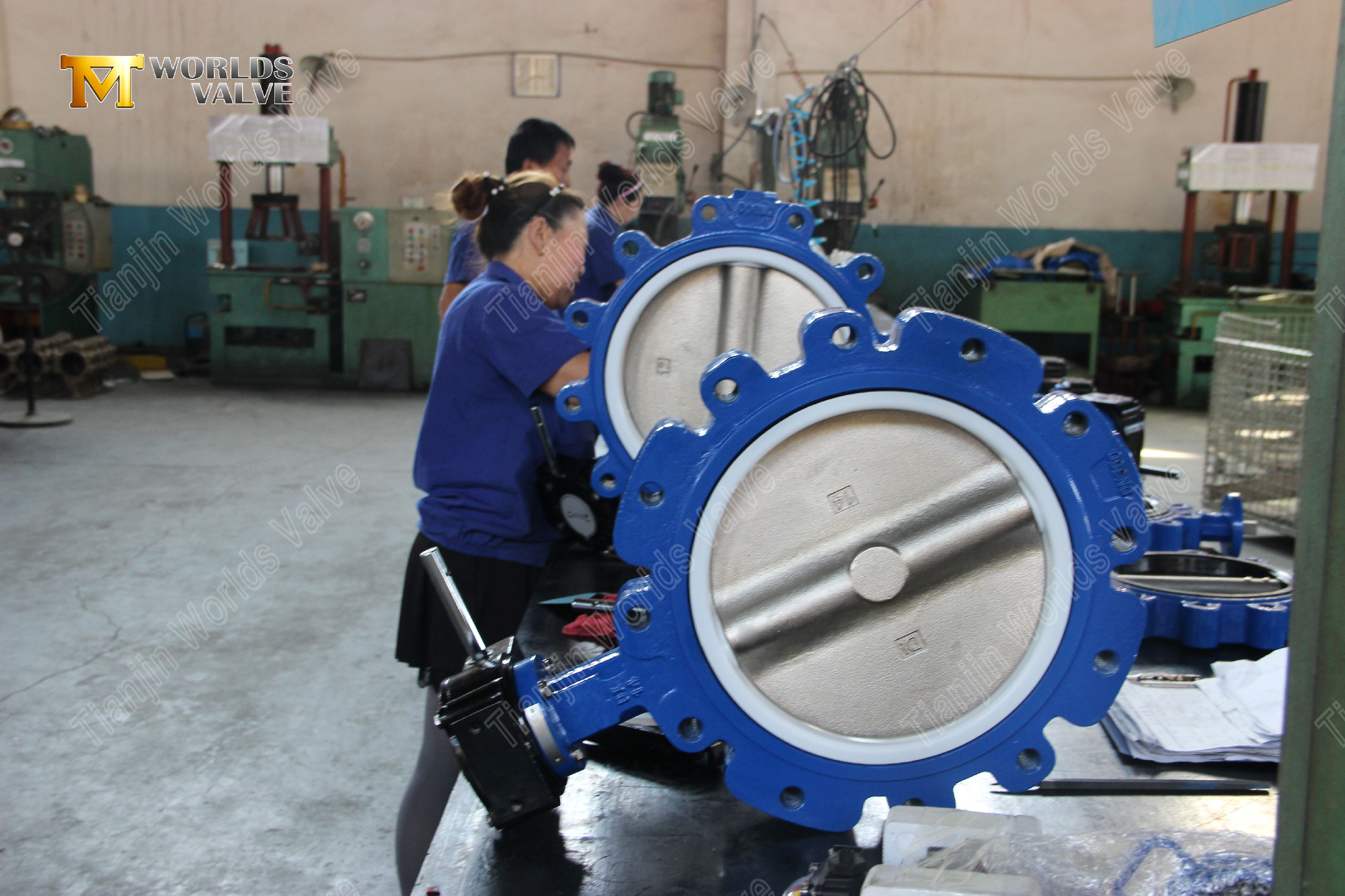 Stainless Steel Lug Butterfly Valve with PTFE Seat (8)