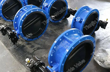 What are the types of flanged butterfly valve?