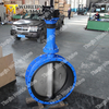 Cast Iron CS Lcc Lcb Lca Concentric Flange Butterfly Valve with Worm Gear Op