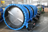 Gear Operated Cast Iron Di Double Flanged Butterfly Valve with C954 Disc Extension Stem