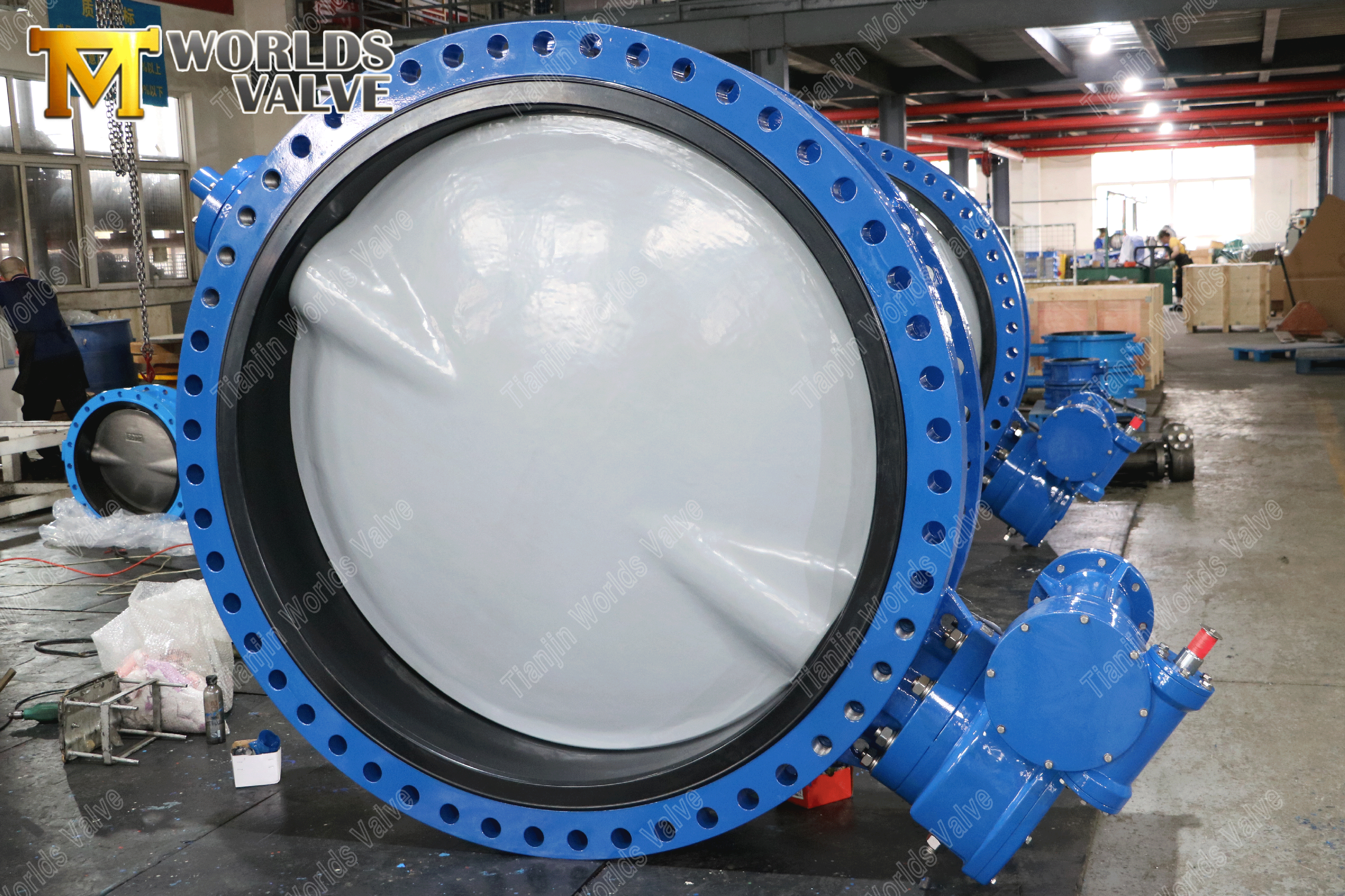 Large Size Worm Gear double flanged butterfly valve-one side