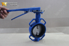 Wafer Butterfly Valve with Two Shaft and Hard Back Seat produced by China Manufacturer-Tianjin Worlds Valve Co.,Ltd.