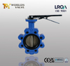 Concentric lug Type Butterfly Valve with Lever Handle offered by China valve manufacturer-Tianjin Worlds Valve Co.,Ltd.