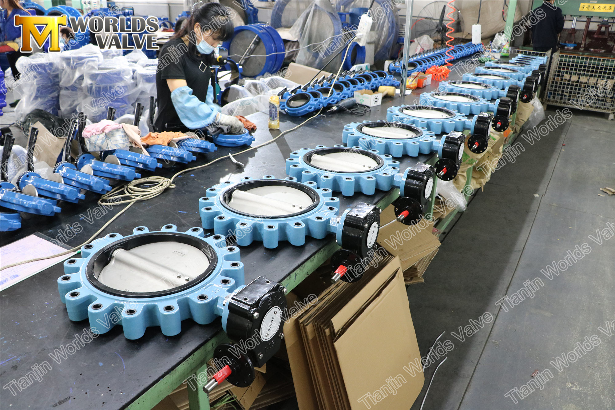 5 GJS400 GJS500 GGG40 GGG50 Cast Iron DUCTILE IRON lugged full lug butterfly valve