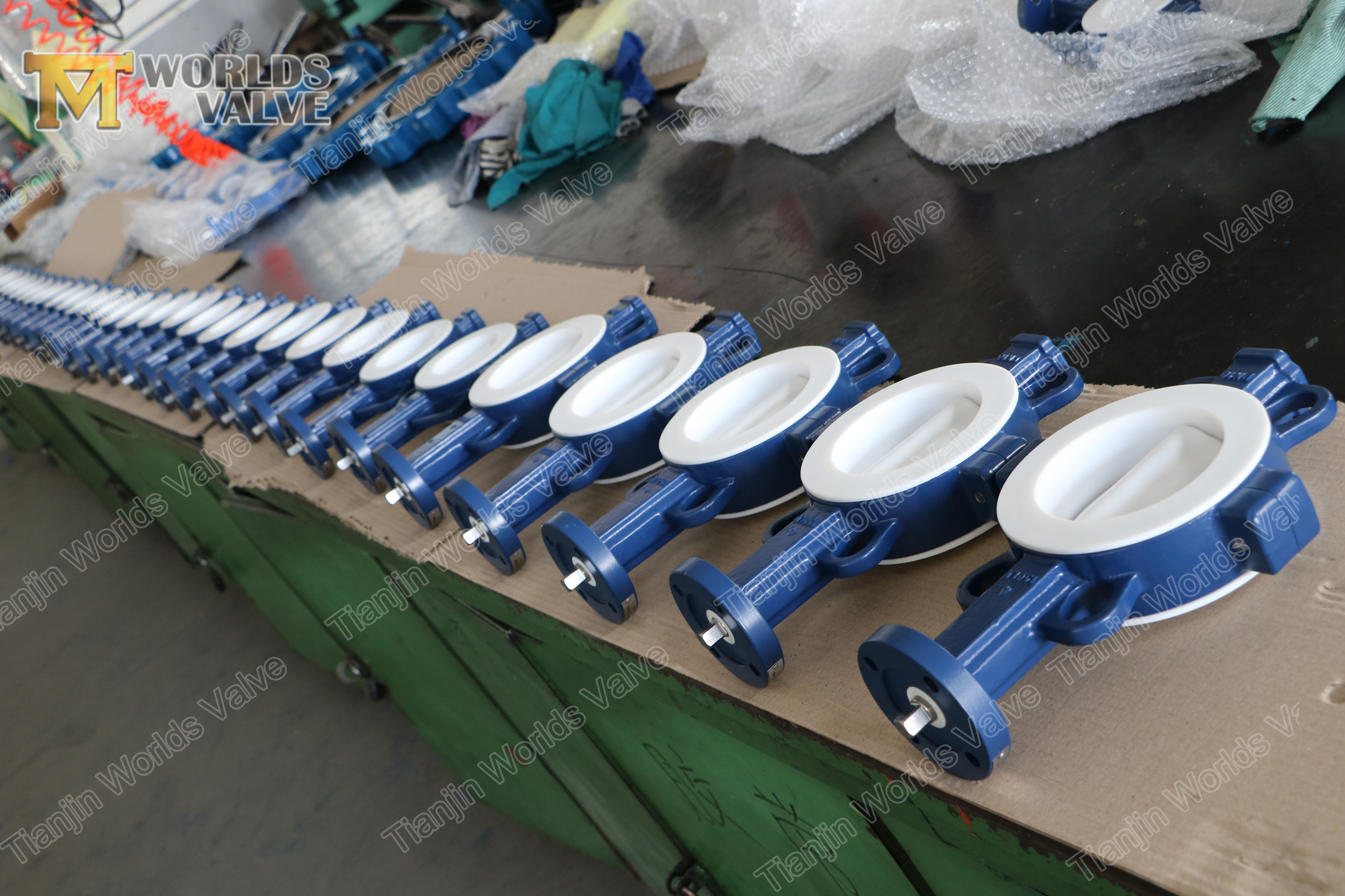 4 PTFE coated BUTTERFLY VALVE