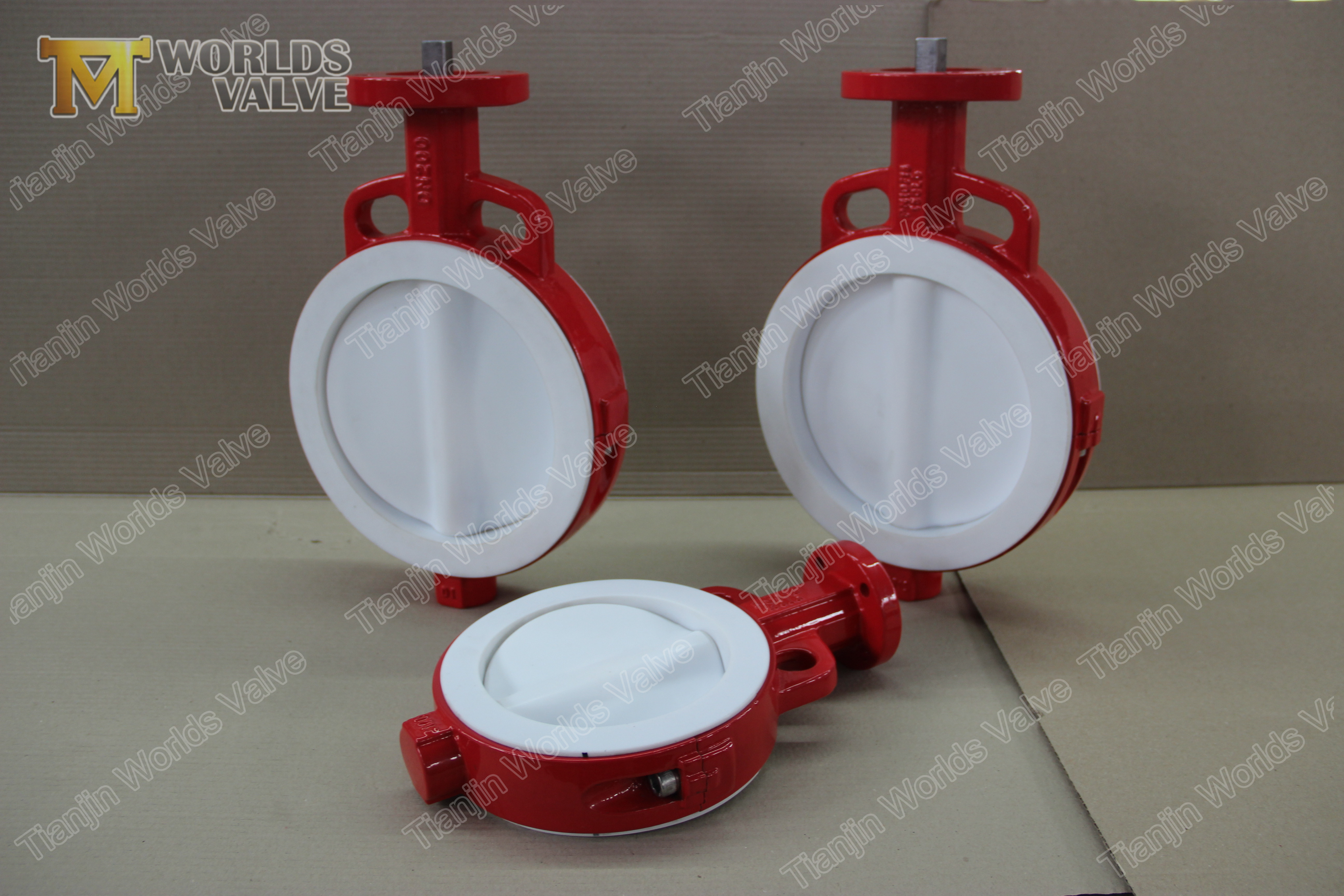 3 PTFE coated BUTTERFLY VALVE