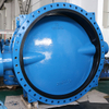 AWWA C504 Double Flange Butterfly Valve with Replaceable Rubber Seat 