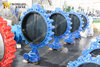 Halar coated disc concentric lugged type butterfly valves seawater 