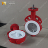 ISO 5211 actuated PTFE Seat Butterfly Valves from Butterfly Valve Factory-Tianjin Worlds Valve Co., Ltd.