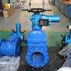 Non-Rising Stem Gate Valve | Resilient Seat Gate Valve Supplier I Electric Actuated-Produced by China OEM Valve Supplier