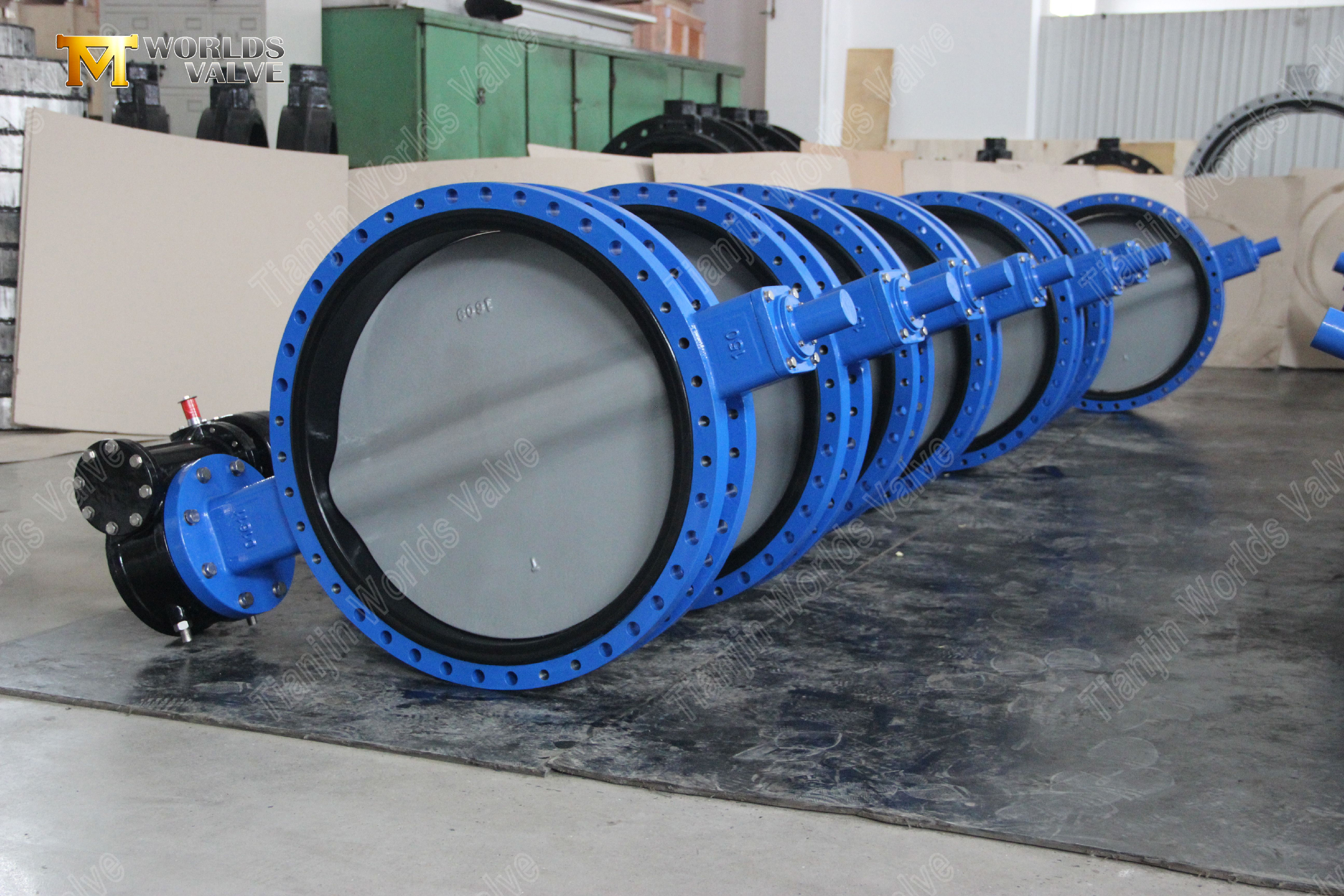 Gear Operated U Type Flange Butterfly Valve with Nylon Coated Disc (6)