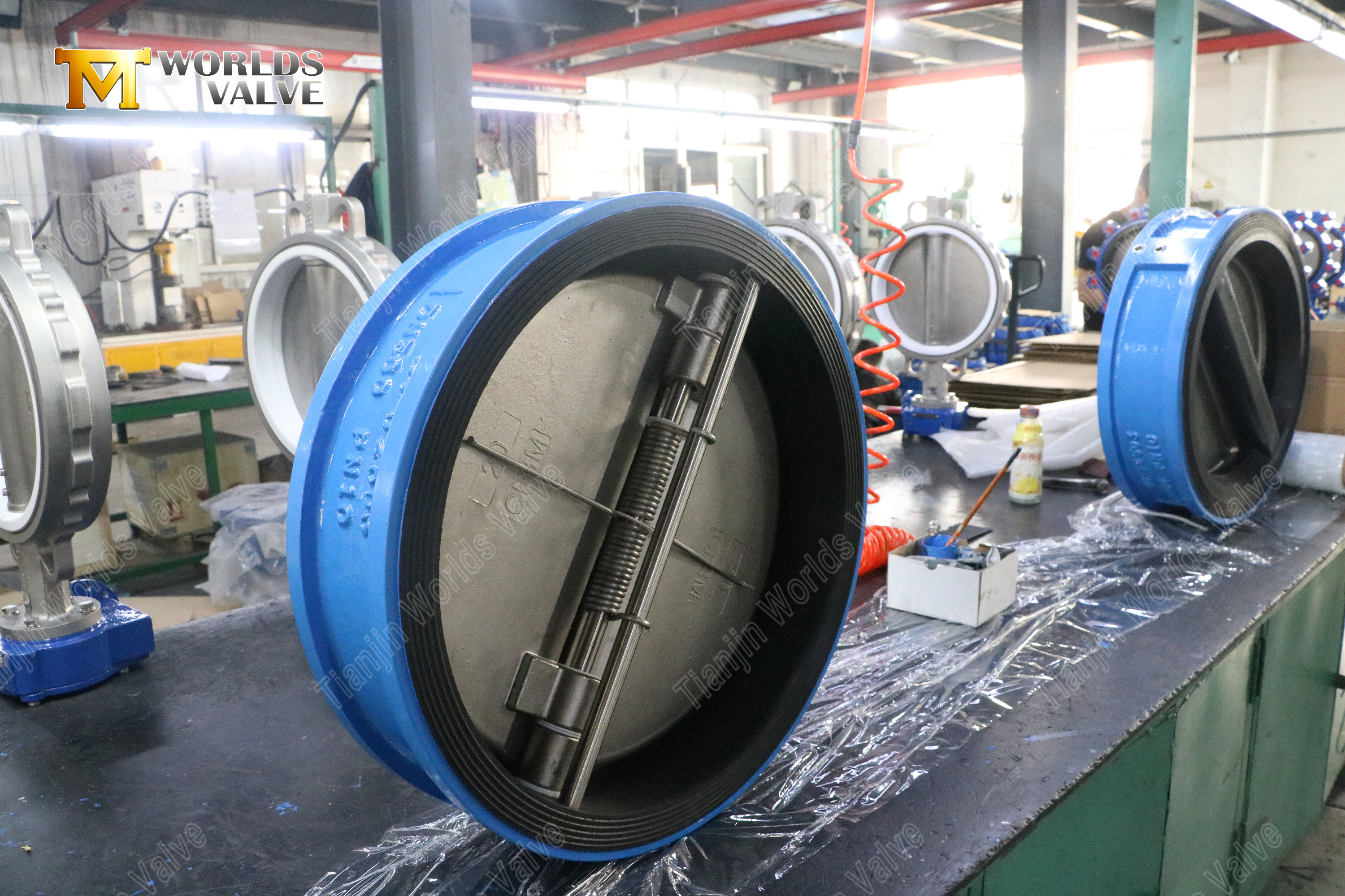 Aluminum Bronze Disc Dual Plate Wafer Check Valve (8)