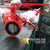 Rubber Lined Wafer Butterfly Valves offered by OEM|ODM Valve Supplier-Tianjin Worlds Valve Co.,Ltd.